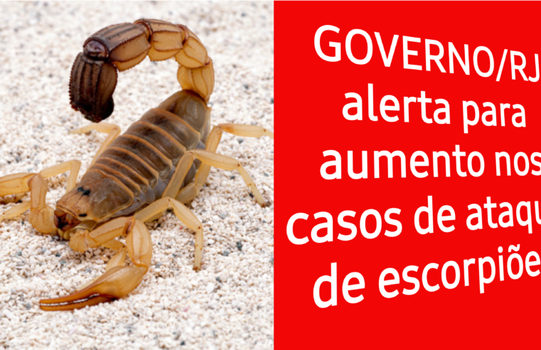 GOVERNO/RJ alerta para aumento nos casos de ataque de escorpiões