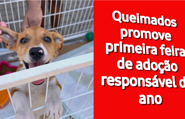 Queimados promove primeira feira de adoção responsável do ano