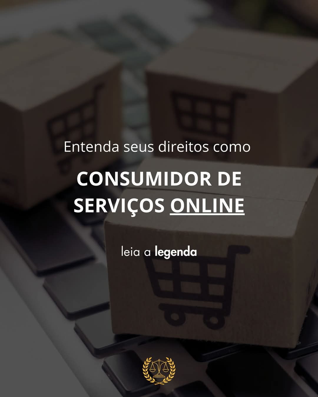 Entenda seus direitos com serviços online